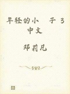 年轻的小峓子 3中文